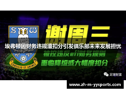 埃弗顿因财务违规遭扣分引发俱乐部未来发展担忧